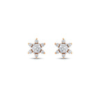 0.41 Karat Flora Diamante Orecchini